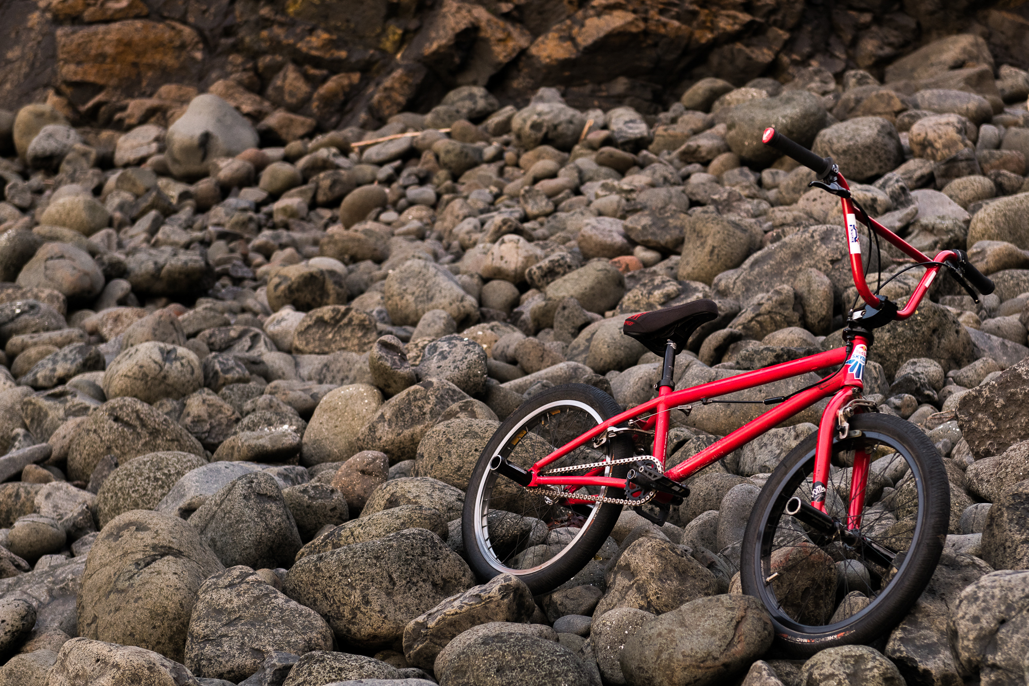 20180428 Riding Thrones GAL7489 WEB 