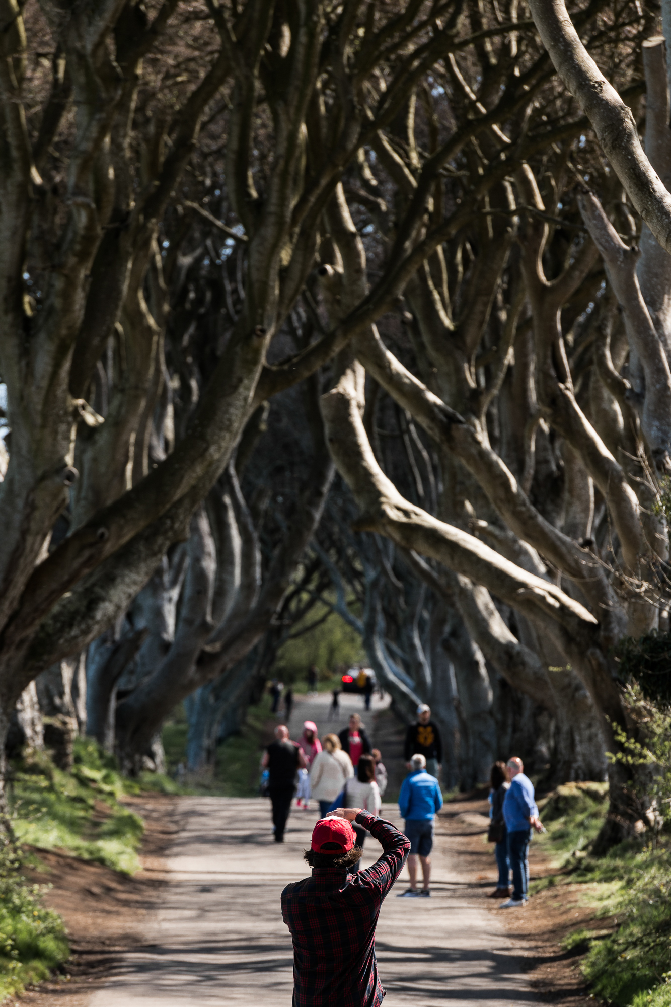 20180429 Riding Thrones GAL7700 WEB 