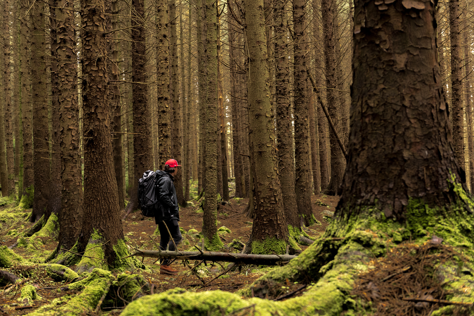 20180503 Riding Thrones GAL9148 WEB 